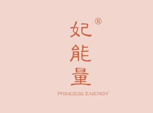 妃能量,PRINCESS,ENERGY