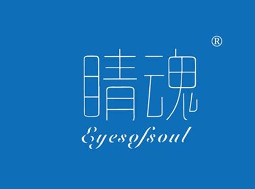 睛魂EYESOFSOUL
