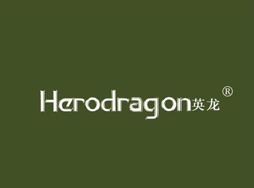 英龙 HERO DRAGON