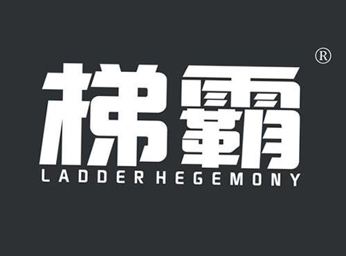 梯霸 LADDERHEGEMONY