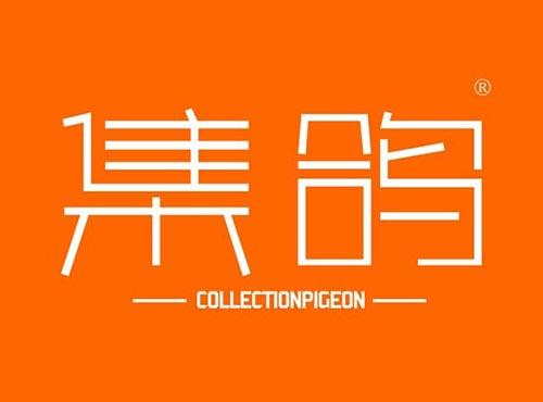 集鸽 COLLECTIONPINGEON