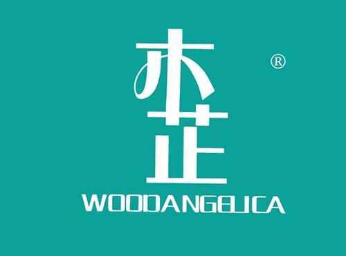 木芷 WOODANGELICA
