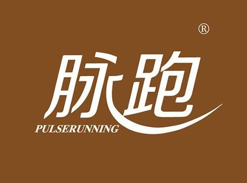 脉跑,PULSERUNNING