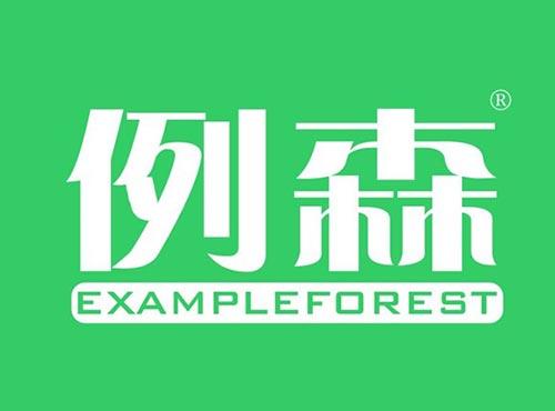 例森EXAMPLEFOREST