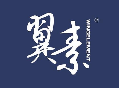 翼素WINGELEMENT