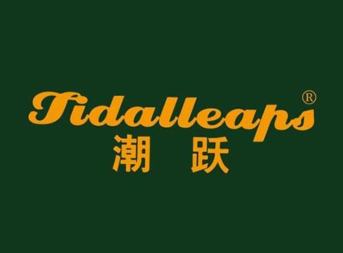 潮跃 TIDALLEAPS