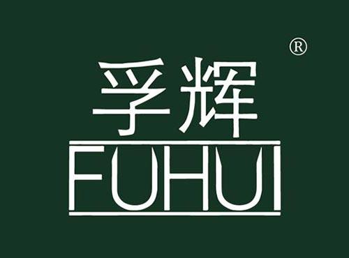 孚辉