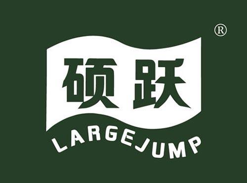 硕跃LARGEJUMP