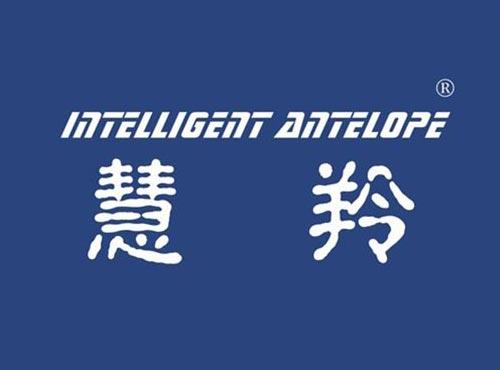 慧羚 INTELLIGENT ANTELOPE