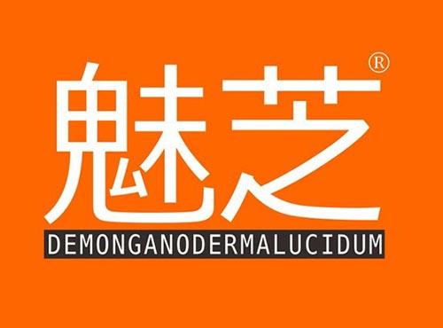 魅芝 DEMONGANODERMALUCIDUM