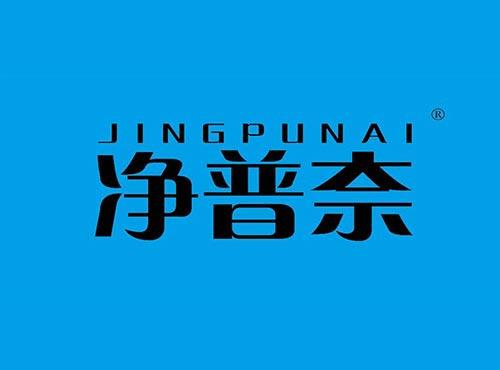 净普奈