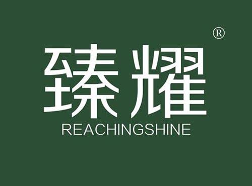 臻耀 REACHINGSHINE