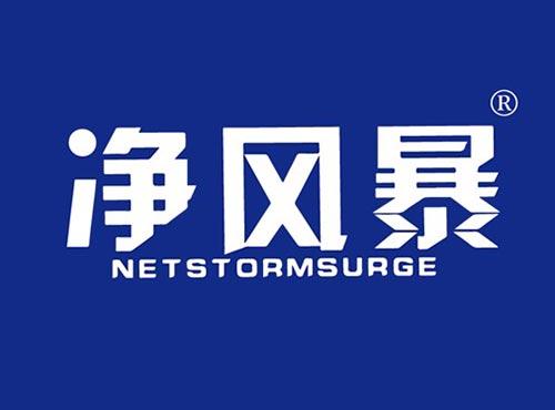 净风暴 NETSTORMSURGE