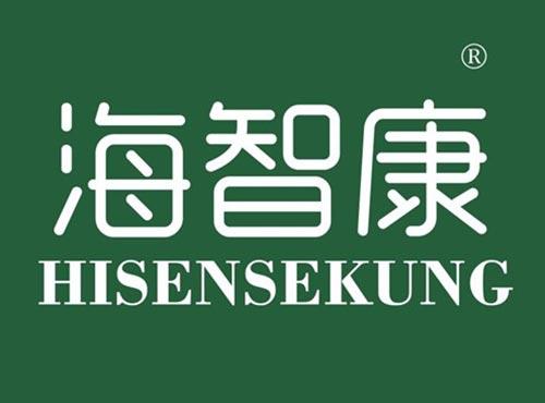 海智康 HISENSEKUNG