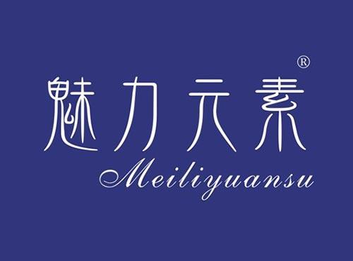 魅力元素