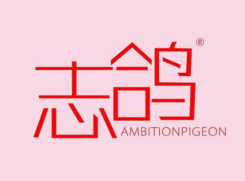 志鸽AMBITIONPIGEON