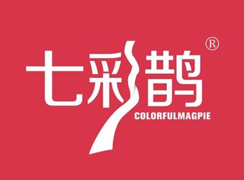 七彩鹊 COLORFULMAGPIE