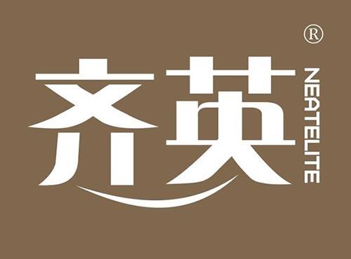齐英NEATELITE
