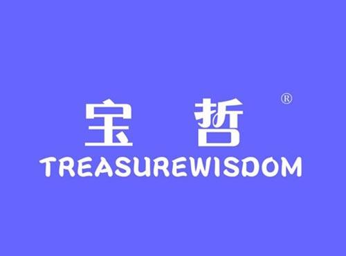宝哲 TREASUREWISDOM