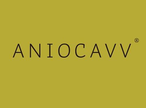 ANIOCAVV