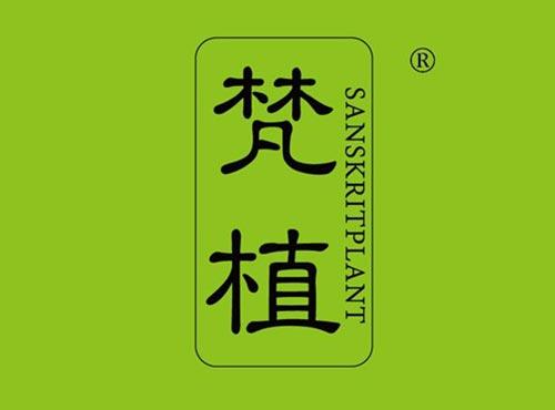 梵植 SANSKRITPLANT