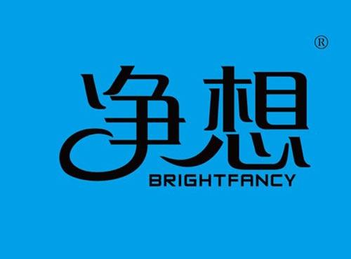 净想 BRIGHTFANCY