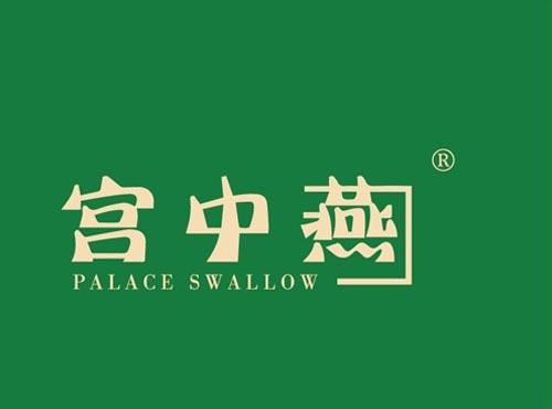 宫中燕 PALACED SWALLOW