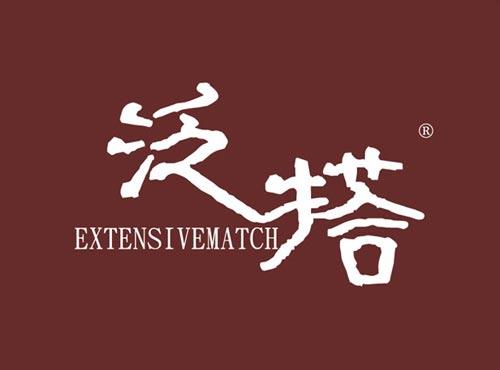 泛搭 EXTENSIVEMATCH