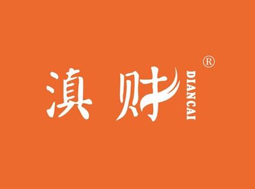 滇财