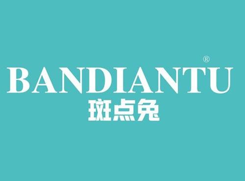 斑点兔