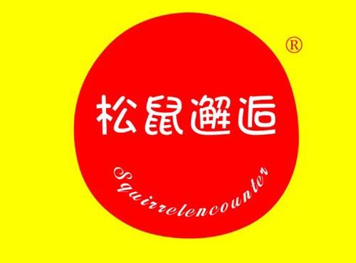 松鼠邂逅 SQUIRRELENCOUNTER