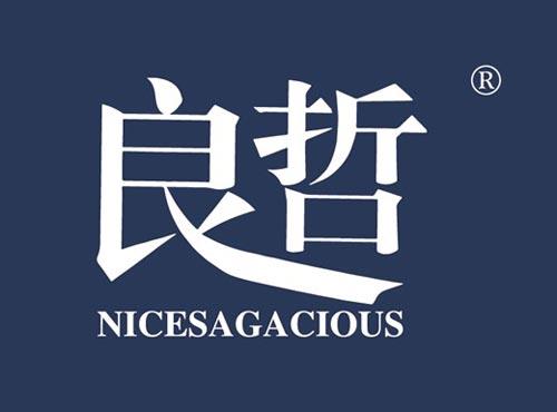 良哲 NICESAGACIOUS