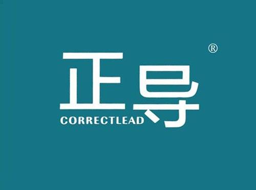 正导
 CORRECTLEAD