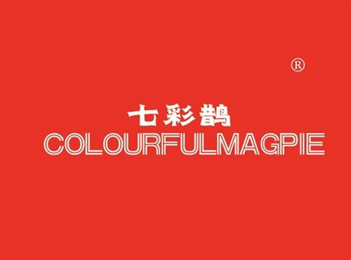 七彩鹊 COLOURFULMAGPIE