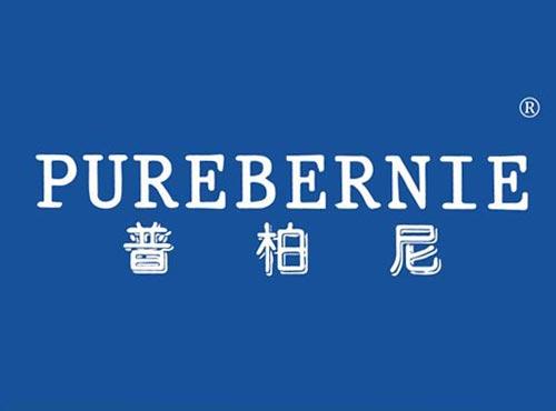 普柏尼 PUREBERNIE