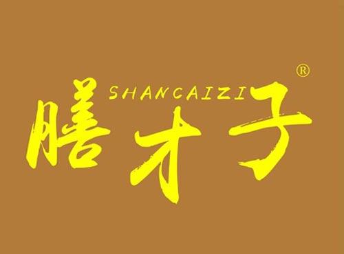 膳才子