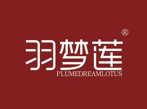 羽梦莲 PLUMEDREAMLOTUS