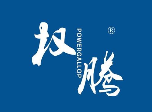 权腾 POWERGALLOP