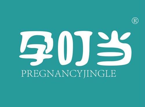 孕叮当 PREGNANCYJINGLE