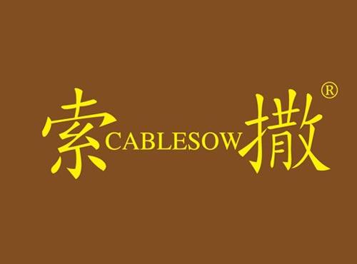 索撒 CABLESOW