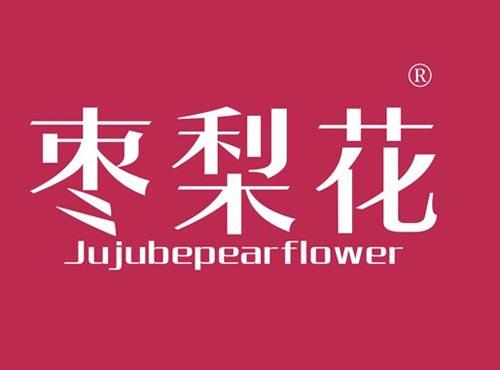 枣梨花 JUJUBEPEARFLOWER