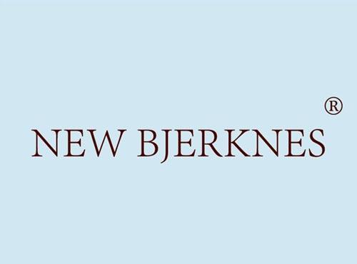 NEW BJERKNES