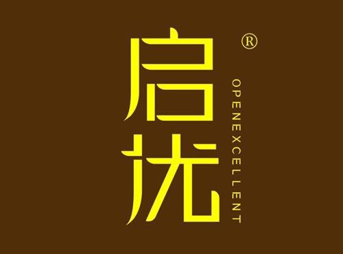 启优 
OPENEXCELLENT