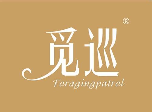 觅巡 FORAGINGPATROL