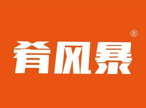 肴风暴