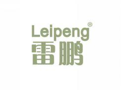 雷鹏LEIPENG