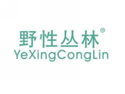 野性丛林YEXINGCONGLIN