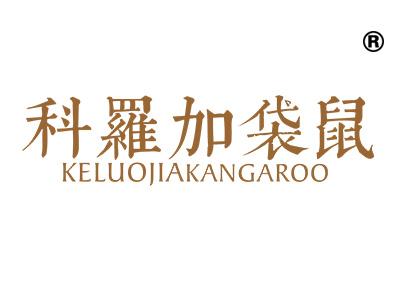 科罗加袋鼠;KELUOJIAKANGAROO