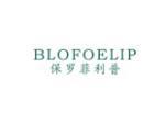 保罗菲利普 BLOFOELIP