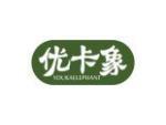 优卡象 YOUKAELEPHANT